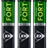 Dunlop Fort All Court Tennis Balls Dozen