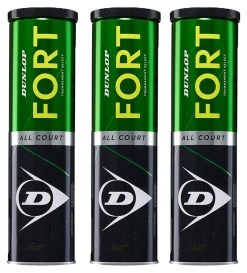 Dunlop Fort All Court Tennis Balls Dozen