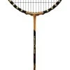 Ashaway NanoQube X1 Badminton Racquet