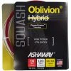 Ashaway Oblivion 1.15-1.20mm Squash Hybrid Set -Sports - Racquet Sports ashaway oblivion 1 15 1 20mm squash hybrid set 80359 74437.1698772335