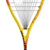 Prince Phoenix Elite 700 Squash Racquet 1 Prince Phoenix Elite 700 Squash Racquet -Sports - Racquet Sports prince phoenix elite 700 squash racquet 68524 61552.1698772310