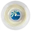 Toalson Asterisk Spin 16 1.30mm 200M Reel -Sports - Racquet Sports toalson asterisk spin 16 1 30mm 200m reel 47636 86939.1698770121