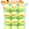 Wilson Starter Orange Tennis Balls Dozen -Sports - Racquet Sports wilson starter orange balls dozen 40267 83813.1698769438